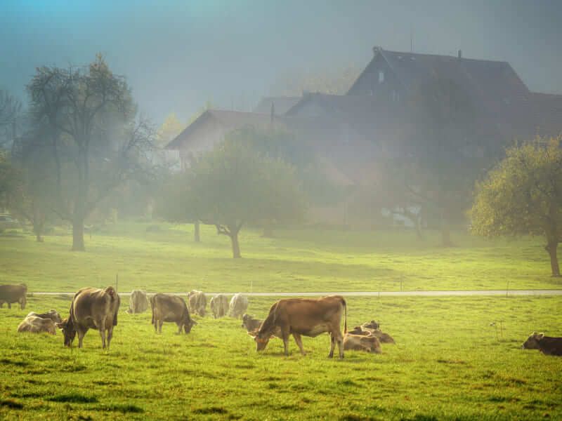Verkauf ausserhalb der Familie